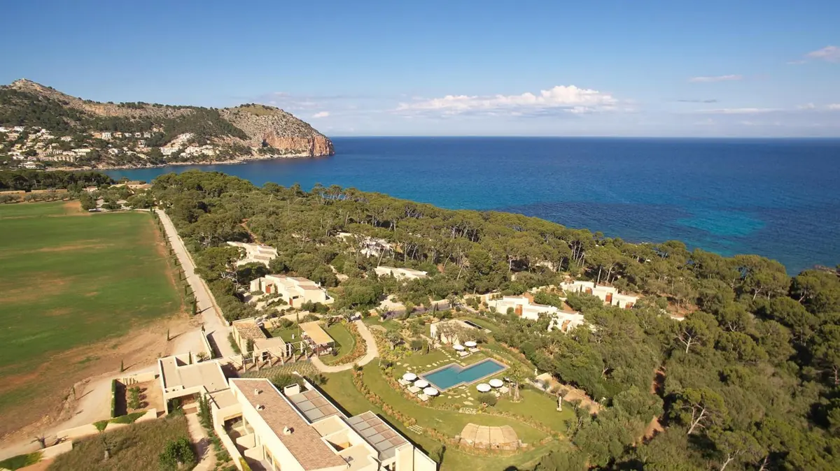 A pine wood, a dry-stone wall, and the sea at the end of the garden