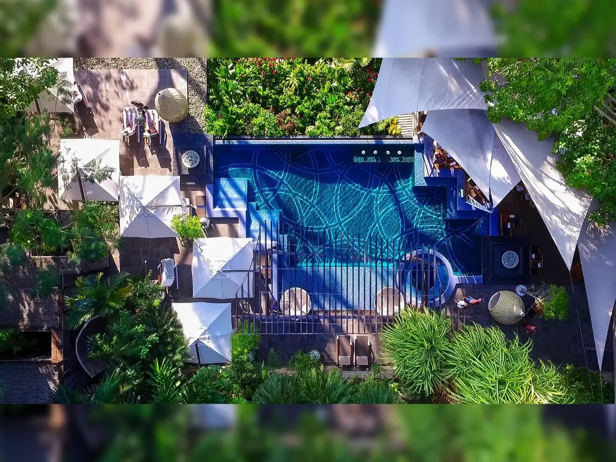 The adults-only hotel built into the canopy above Manuel Antonio