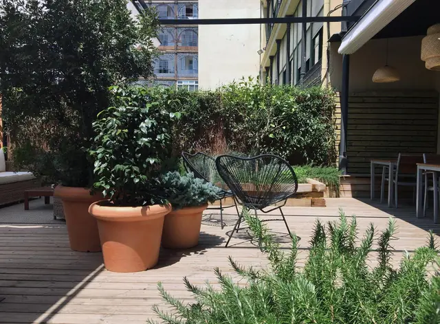 balance & terrace
