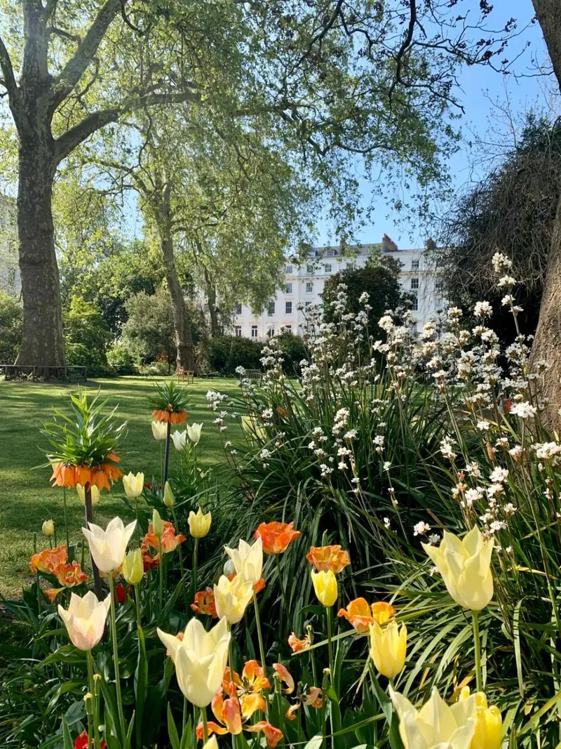 garden