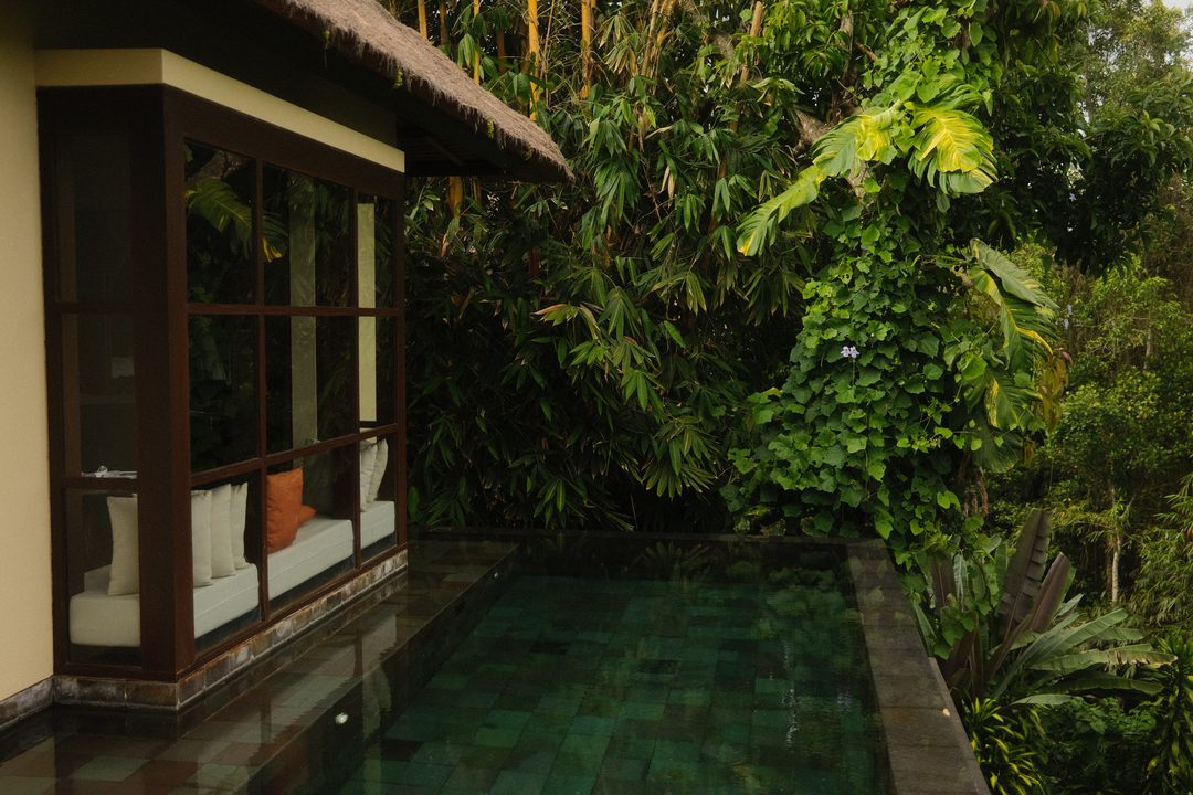 A villa pool with the jungle at its edge